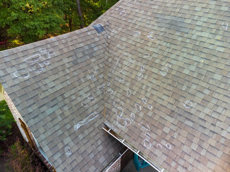 Asphalt Roof Inspection in East Butler, PA