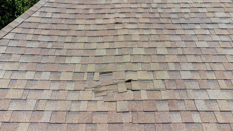 Asphalt Roof Inspection in Mercer County, PA