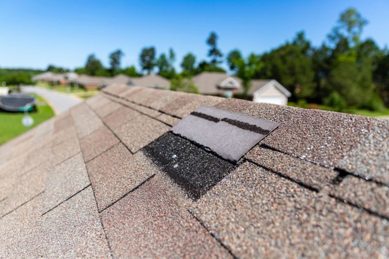 Asphalt Roof Leak Repair in Butler County, PA