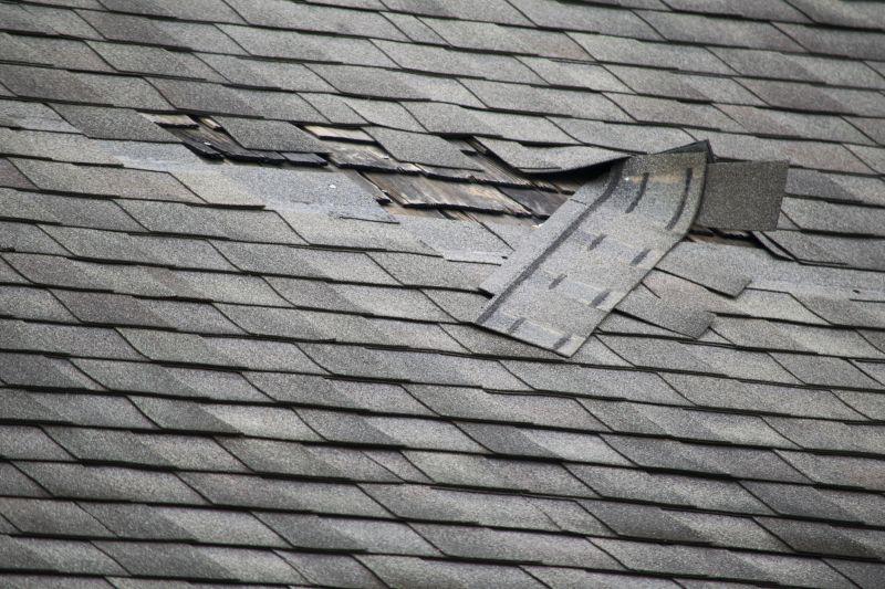 Asphalt Roof Leak Repair in West Sunbury, PA