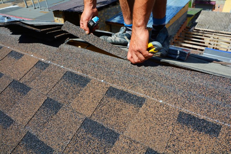 Asphalt Roof Repair in Ellwood City, PA