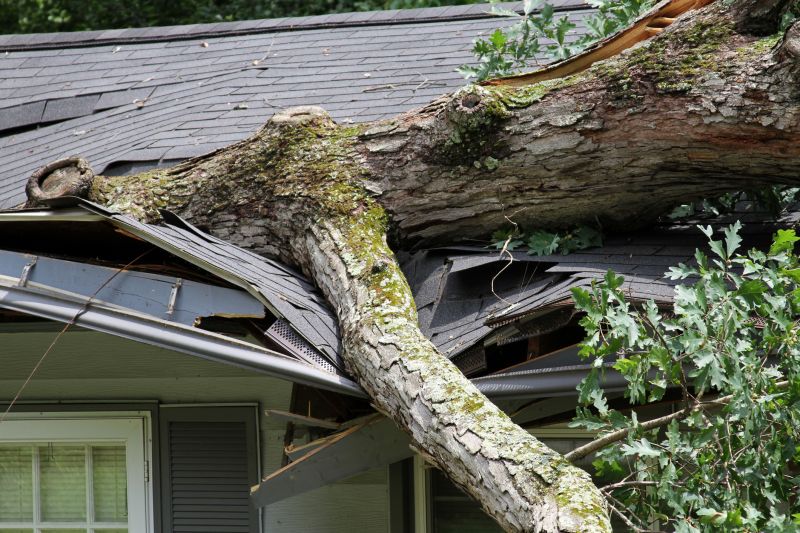 Asphalt Roofing Service in Grove City, PA