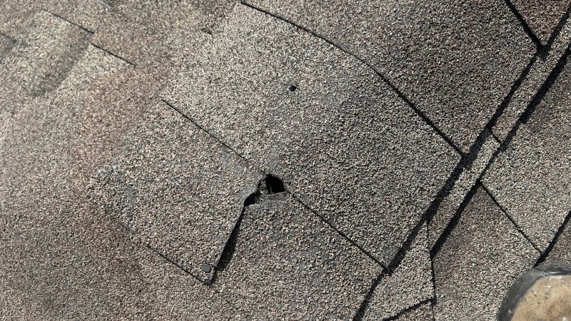 Damaged Roof Repair in Ellwood City, PA