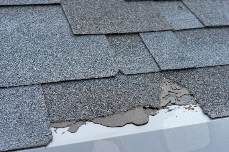 Damaged Roof Repair in Ellwood City, PA
