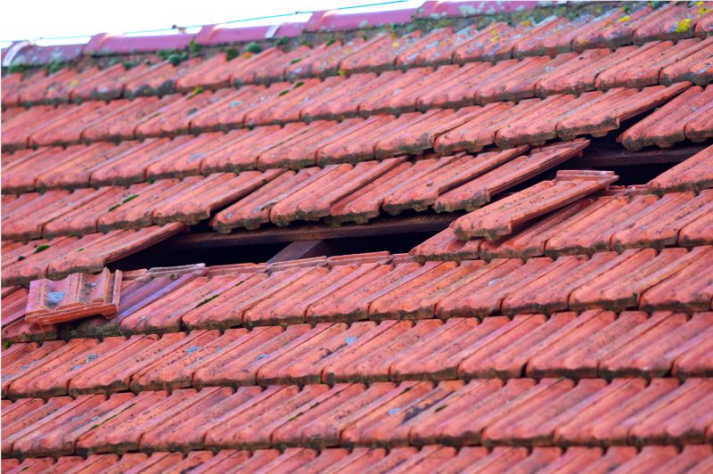 Roof Damage Inspection in East Butler, PA