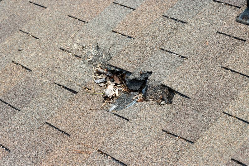 Roof Shingles Replacement in East Butler, PA