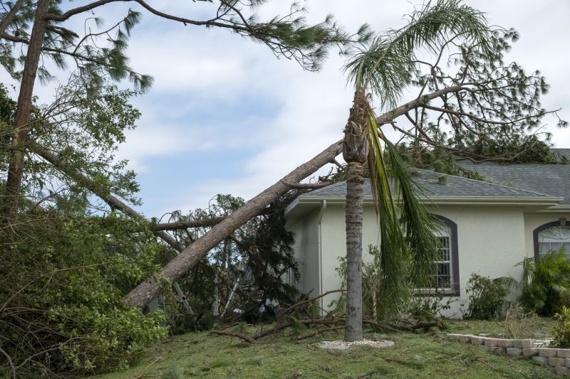 Storm Damage Roof Repair in East Butler, PA